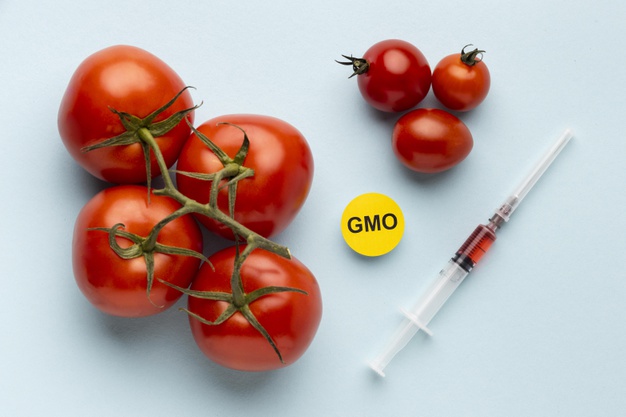 10 Reasons to Avoid GMOs – Genetically Modified Organisms