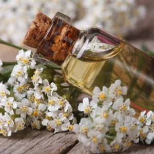 Yarrow Oil